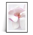 Plakat KWIAT MAGNOLII z marginesem