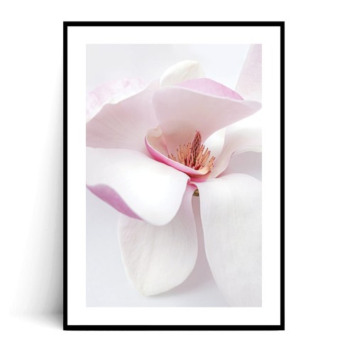 Plakat KWIAT MAGNOLII z marginesem