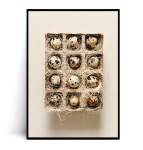 Plakat JAJECZKA PRZEPIÓRCZE no.1