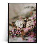 Plakat JAJECZKA WIELKANOCNE no.1