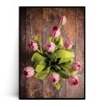 Plakat TULIPANY