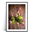 Plakat TULIPANY z marginesem