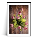 Plakat TULIPANY