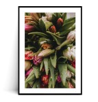 Plakat TULIPANY no.3