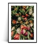 Plakat TULIPANY no.6