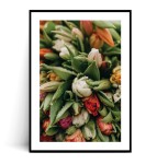 Plakat TULIPANY no.7