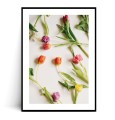 Plakat WIOSENNE TULIPANY z marginesem