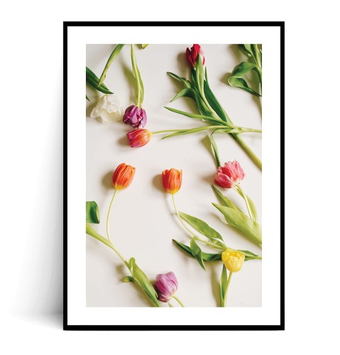 Plakat WIOSENNE TULIPANY z marginesem