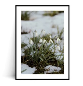 Plakat PRZEBIŚNIEGI no.1