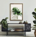 Plakat MONSTERA W WAZONIE
