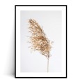 Plakat BOHO TRAWA z marginesem