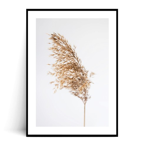 Plakat BOHO TRAWA z marginesem