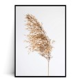 Plakat BOHO TRAWA