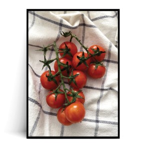 Plakat POMIDORKI