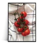 Plakat POMIDORKI no.1