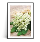 Plakat WIOSENNE KONWALIE no.2