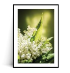 Plakat BUKIET KONWALII no.4