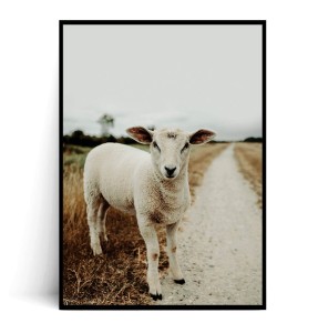 Plakat OWIECZKA NA DRODZE