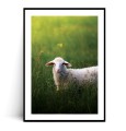 Plakat WIELKANOCNY BARANEK z marginesem
