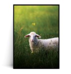 Plakat WIELKANOCNY BARANEK