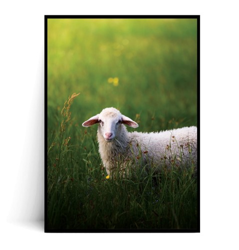 Plakat WIELKANOCNY BARANEK