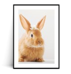 Plakat WIELKANOCNY KRÓLICZEK Z KWIATUSZKAMI no.1
