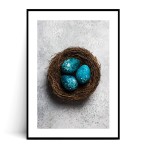 Plakat BŁĘKITNE PISANKI W GNIAZDKU