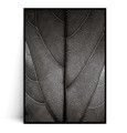 Plakat LIŚĆ FICUS LYRATA CZARNO BIAŁY