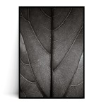 Plakat LIŚĆ FICUS LYRATA czarno biały