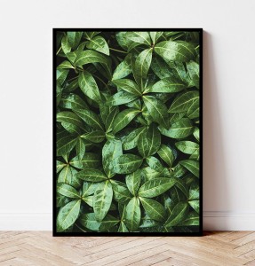 Plakat ZIELONE LIŚCIE