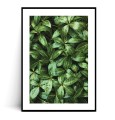 Plakat ZIELONE LIŚCIE z marginesem