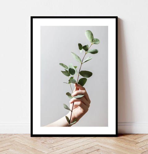 Plakat GAŁĄZKA EUKALIPTUSA z marginesem