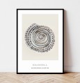 Plakat SEASHELL