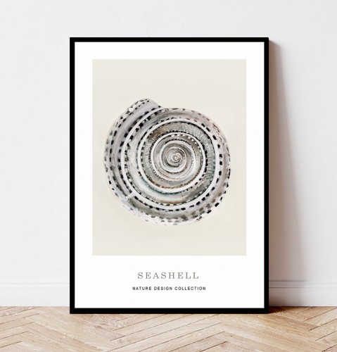 Plakat SEASHELL