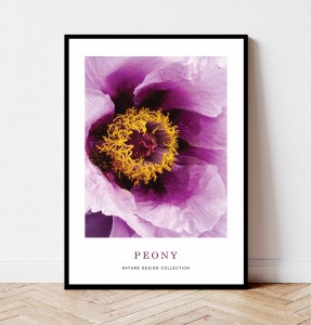 Plakat PEONY no.1