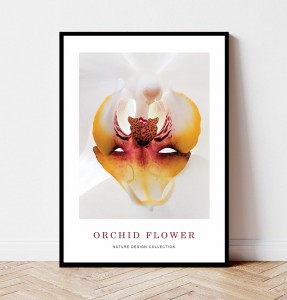 Plakat ORCHID FLOWER no.1 