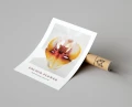 Plakat ORCHID FLOWER no.1