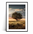 Plakat SAMOTNE DRZEWO z marginesem