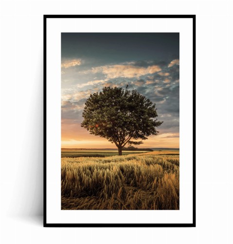 Plakat SAMOTNE DRZEWO z marginesem
