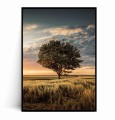 Plakat SAMOTNE DRZEWO