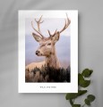 Plakat WILD AND FREE