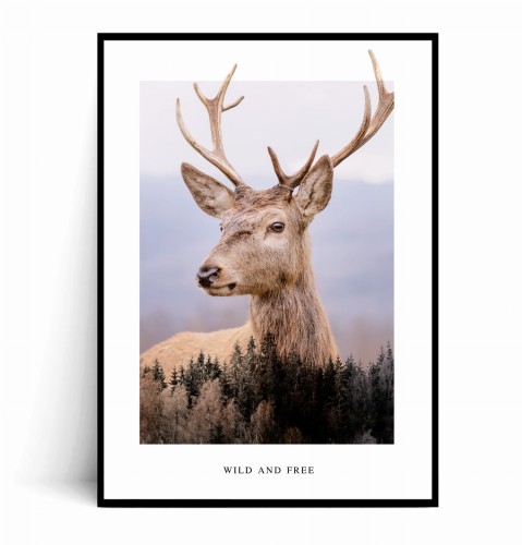 Plakat WILD AND FREE