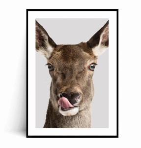 Plakat OH DEER no.1