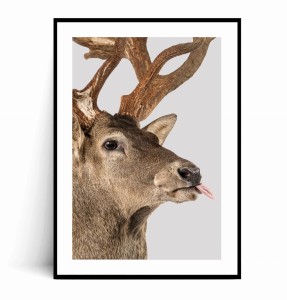 Plakat OH DEER no.2