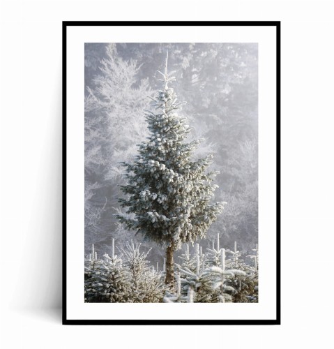 Plakat CHOINKA W ŚNIEGU z marginesem