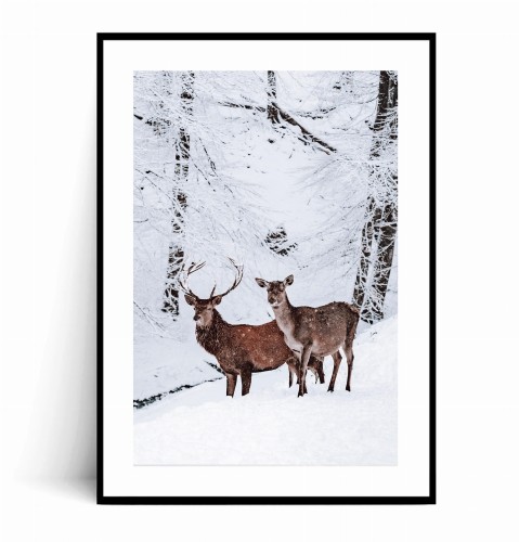 Plakat JELEŃ I SARNA z marginesem
