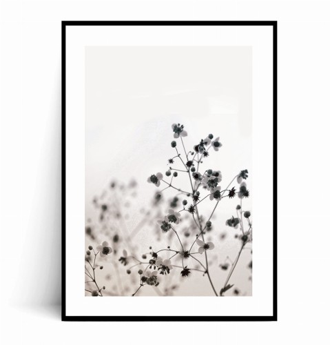 Plakat MINIMAL FLOWERS z marginesem