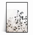 Plakat MINIMAL FLOWERS