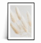 Plakat MINIMALISTYCZNA BIAŁA TRAWA no.1