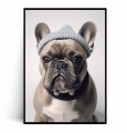 Plakat BULDOG W CZAPCE
